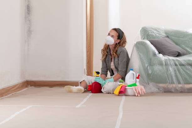 Reliable Mold Testing contractor in Dayton, WA by WQB Mold Removal